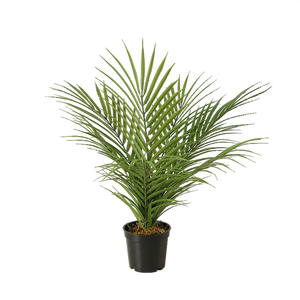 Mini di Palma Artificiale Albero Pianta In Vaso Pigmeo Data di Palma con 8pcs Regolabile Foglia di Palma Decorazioni Per La Casa - Product Image 1