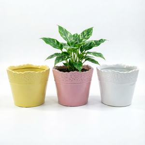 Nouveauté 2026 : Pots de fleurs en céramique gaufrée jaune/rose/blanc pour la décoration intérieure et extérieure, <span class=keywords><strong>jardin</strong></span>, balcon, bureau - Product Image 1