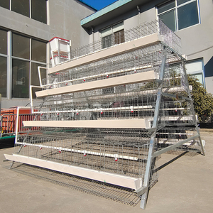 Système d'élevage avicole automatique à 4 niveaux pour poules pondeuses, type batterie, capacité 120 à 5000 oiseaux, pour la production d'œufs - Product Image 4