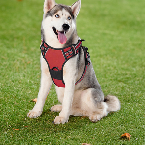 Verstellbares Hochwertiges Oxford Luxus-Designer Hundeleine und Hundegeschirr Set Ohne Ziehen Maßgefertigtes Hundegeschirr - Product Image 5