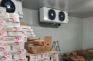 Grande chambre froide pour jambon cuit Pasteurisation de poisson Fonction de refroidissement par soufflage Noyau de roulement à engrenages de compresseur Copeland à énergie solaire - Product Image 6