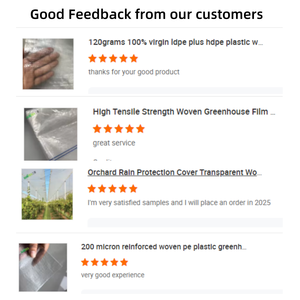 Couverture de serre tissée renforcée Film tissé transparent Imperméable Toile plastique - Product Image 6