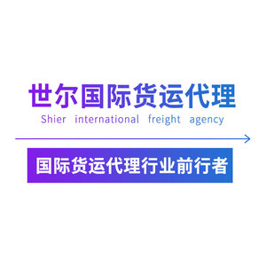 Service logistique international FBA DDP vers l'Europe, taxes incluses, pour l'Allemagne, la France, l'Italie, l'Espagne, les Pays-Bas - Product Image 2