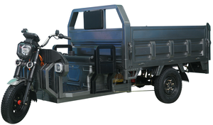 Tricycle électrique Offres Spéciales pour adultes Tricycle électrique puissant à moteur 1000W 60V - Product Image 6