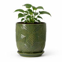 Pots à orchidées en céramique avec trous de drainage, 5 à 6 pouces, lot de 3, pour une circulation d'air saine, décoration de jardin intérieur et extérieur