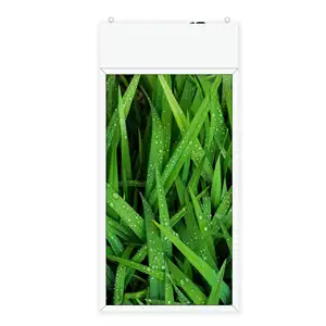 55 ''Zoll Android Hanging Indoor Decke Doppelseitiges Dual Screen Window Digital Signage