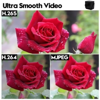 Cámara USB Pequeña ELP 2160P con Zoom Digital 2X, Cámara de Vigilancia CCTV IMX415, Video 4K, Webcam Ultra HD, 82 Grados, Baja Distorsión, Mini Cámara de Seguridad