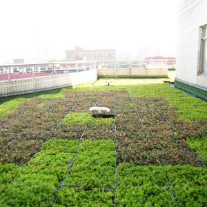 Système de jardinage vertical modulaire pour toitures vertes, jardinières auto-arrosantes pour toitures vertes - Product Image 3