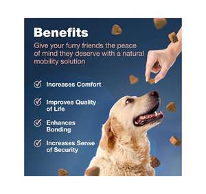 Suplementos para las Articulaciones de Mascotas, Masticables Blandos y Tabletas de 300 g, Apoyan la Salud de las Articulaciones, Mejoran la Vitalidad y Mantienen la Salud - Product Image 6