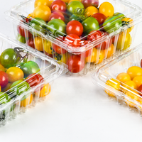 Boîte d'emballage en plastique PET grande capacité pour fruits, légumes, conteneur alimentaire, barquettes à fraises pour supermarché