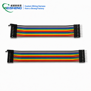 Faisceau de câblage électronique automobile personnalisé en cuivre étamé PVC, longueur 10-100 cm, plat, Dupont 2,54 mm de pas, 40 broches, 300 V - Product Image 1
