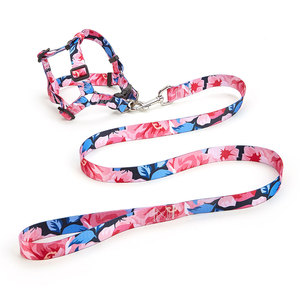 Conjunto de Arnés y Correa para Perro con Estampado Floral, Cierre de Hebilla Ajustable, Talla Pequeña, Estilo Moderno para Perros - Product Image 3