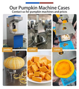 Machine à peler les citrouilles FENGXIANG – Machine à retirer la peau des citrouilles, des courges et des melons - Product Image 6