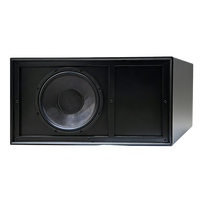 Subwoofer professionnel haute puissance, subwoofer actif pour home cinéma, amplificateur à traitement numérique du signal - Système de subwoofer