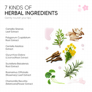 2025 Offre Spéciale LAIKOU Sakura masque pour les lèvres 6g hydratant estompe les rides des lèvres couleur exfolie et hydrate masque pour les lèvres aux fruits - Product Image 2