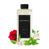 Diffuseur d'arômes Nano, machine à huiles essentielles, huiles essentielles pour diffuseur d'arômes, livraison directe