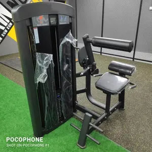Pin Loaded Strength Training Back Extension Gym Machine Fitness Equipments