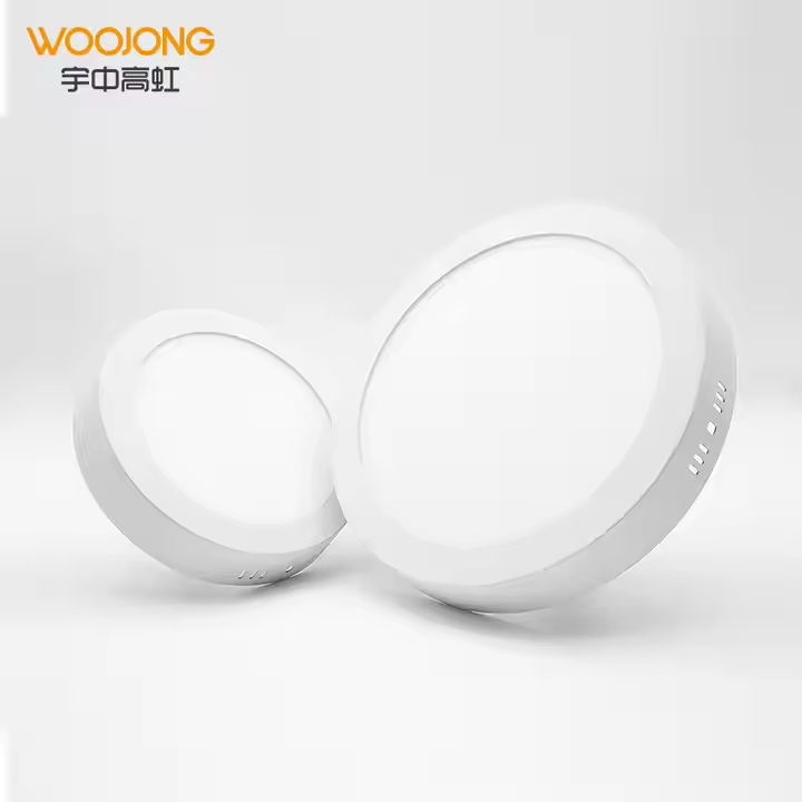 WOOJONG Factory Direct Sales LED Indoor Lighting 6W 12W 18W 24W Surface Round Panel Light/square Surface Panel Light-free