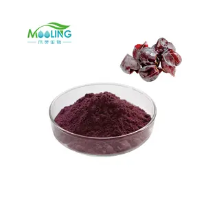 Wholesale High Quality Grape Skin Extract Grape Skin Powder CAS 501-36-0