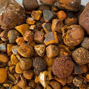 Niu Huang中国ハーブベゾア牛ガルスストーンスライス乾燥粉末スパイス生加工タイプさまざまな輸出 - Product Image 6