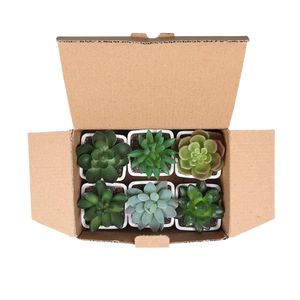 人工鉢植えプラスチック盆栽小型ミニフェイクサボテン鉢植え - Product Image 5