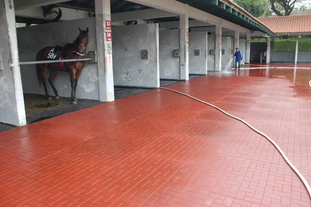 Hoogwaardige Paardenmatten Stabiele Elastische Vloer Anti-Slip Dier Rubberen Mat Paardenstal Paardensport Rubberen Vloeren