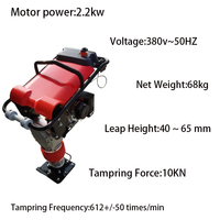 Pilon compacteur portatif à performance optimale pour le compactage du sol, moteur essence GX160, efficace