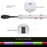 Bande LED numérique RVBW COB à pixels adressables Dream Color DC24V 784L avec effet de poursuite lumineuse