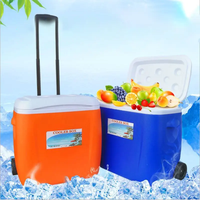 Glacière Isotherme Portable pour Camping et Pique-nique, pour Bouteilles de Bière et Aliments, en Plastique Rotomoulé PE, Motif Dessin Animé