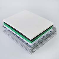 2mm-12mm 1220x2440 4x8 PP Corflute Corpac Corriboard Akylux Corriflute Feuilles de carton plastique ondulé