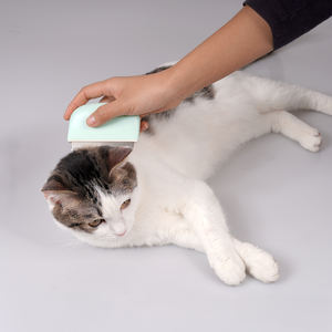 Vente en gros du fabricant Peigne de toilettage pour chat en acier inoxydable vert rose blanc et ABS - Product Image 4