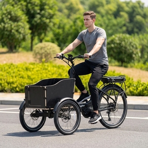 Triciclo Eléctrico de Carga para Perros, Marco de Aleación, Motor Central Eléctrico de 48V, <span class=keywords><strong>Desviador</strong></span> para Adultos, Freno Hidráulico con Interruptor de Apagado - Product Image 1