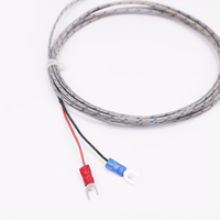 Sonda de Sensor de Temperatura de Alta Temperatura Tipo Aguja de Estilo de Transición de Termopar Blindado Tipo K de Alto Rendimiento