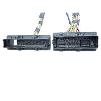 Conjunto de Conectores para Arnés de Puerta Modular 	 Conector Híbrido Automotriz 54P 8715591-02 para Arnés de Cableado de Puerta de Plataforma BMW