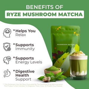 Superalimentos OEM USDA Orgánicos, Matcha con 6 Hongos Adaptógenos, Matcha de Grado Ceremonial, Bolsa Nueva con Cuchara, 6 Hongos Adaptógenos - Product Image 2
