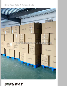 Set mit 12 Stück Katzen feder spielzeug & 2 einziehbarer Zauberstab 10 Ersatz lebensechte Federn Interaktives Spielzeug für Haustier bewegungen - Product Image 6