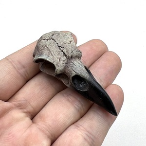 Colgante de calavera de cuervo de resina estilo Steampunk HLC ODM, dijes góticos de calavera de pájaro para hacer joyas DIY, accesorios de regalo para collares de Halloween - Product Image 3
