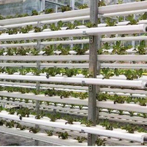 Sistema NFT vertical hidropónico de plástico para invernadero grande industrial con tubos dobles para cultivo de fresas - Product Image 4