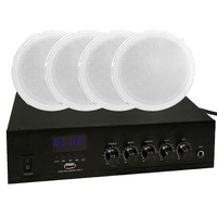 Dört Parçalı CE6055 Metal Ev Tipi Amfi 25W BT 5.0 Tavan Hoparlörü Genel Seslendirme Tiz/Bas Kontrolleri İç/Dış Mekan Kullanımı için