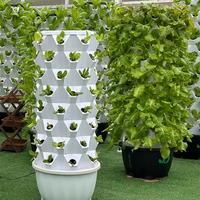 Système hydroponique d'agriculture intelligente Irrigation automatique Usage domestique Jardin Tour de culture verticale pour la culture de légumes Herbes Laitue