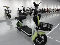 Le Petit Prince Vélo électrique de grande qualité et à bas prix E-bike 48V Véhicule électrique à bas prix Autres vélos électriques