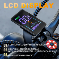 Vélo électrique EOEOTWO pour adultes, moteur arrière 750W, vélo tout-terrain électrique, 34 MPH, pneus larges en lithium, vélo électrique tout-terrain