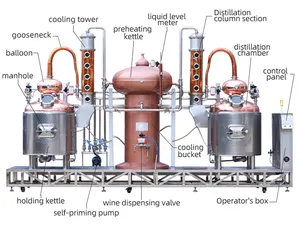 500 litri di attrezzature per la distillazione del vino di brandy gin doppie pentole completamente automatiche