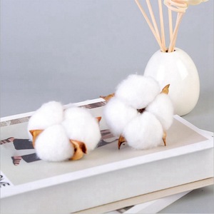 Decorazione della casa singola di Cotone testa di fiore naturale fiori secchi fai da te fatti a mano di elaborazione di simulazione personalizzato fiori di cotone - Product Image 4