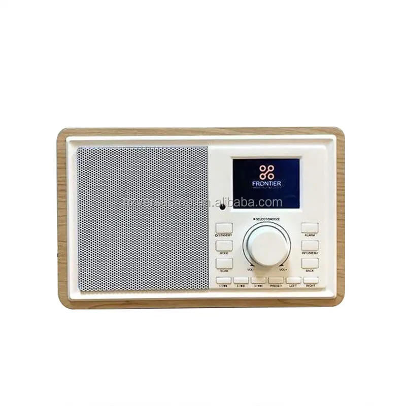 Presa Ethernet OEM all'ingrosso FM WiFi internet/DAB + Radio