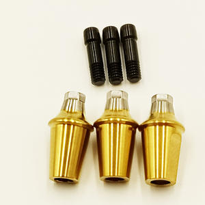 Fabriek Originele Hoge Kwaliteit Titanium Grade 5 Ostem 6720r Reparatie Rechte <span class=keywords><strong>Abutment</strong></span> Voor Ostem Ts Systeem - Product Image 2