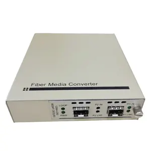 OEO Ethernet Media Converter 2 Fiber Ports 155M-4.25G 3R Function SFP To SFP Fiber Media Converter OEO