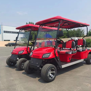 Carrito de Golf Eléctrico de Cuatro Ruedas con Motor de 2 Tiempos Kepler, Excelente Relación Calidad-Precio y Personalización - Product Image 1