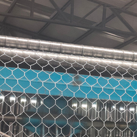 XBY Factory Construction Paniers gabions et murs gabions en fil de fer galvanisé à trous hexagonaux 50x50 50x50x100