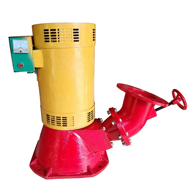 Hydroelectric Generator 500w 1000w 1kw River